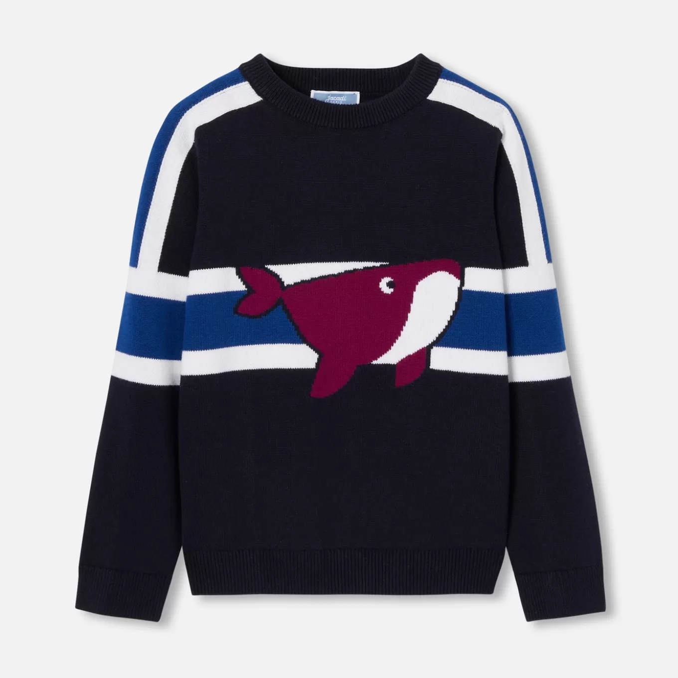 Store Jacadi Pullover für Jungen MARINEBLAU/BLAU