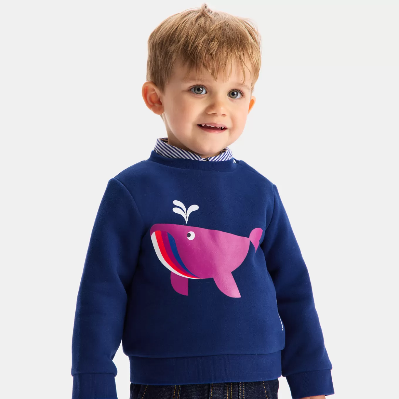 Store Jacadi Sweatshirt Molton Kleinkind Junge DUNKELBLAU